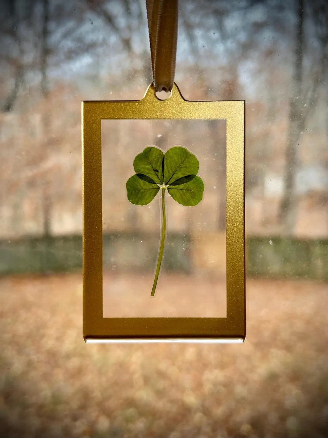A little piece of luck with so much heart 🍀 These framed four-leaf clovers from StitchandSprouts are locally sourced, carefully pressed, and preserved in clear acrylic to be cherished for years to come. Each one is found by hand during special walks with the maker’s Nana, making every piece feel extra meaningful. A thoughtful gift for milestones big and small—or a sweet reminder that good things are always growing. ✨ #LTKfinds #LuckyCharm #MeaningfulGifts #EtsyHandmade #PressedFlowers #GiftIdeas #SentimentalStyle

#LTKGiftGuide #LTKHoliday #LTKHome
