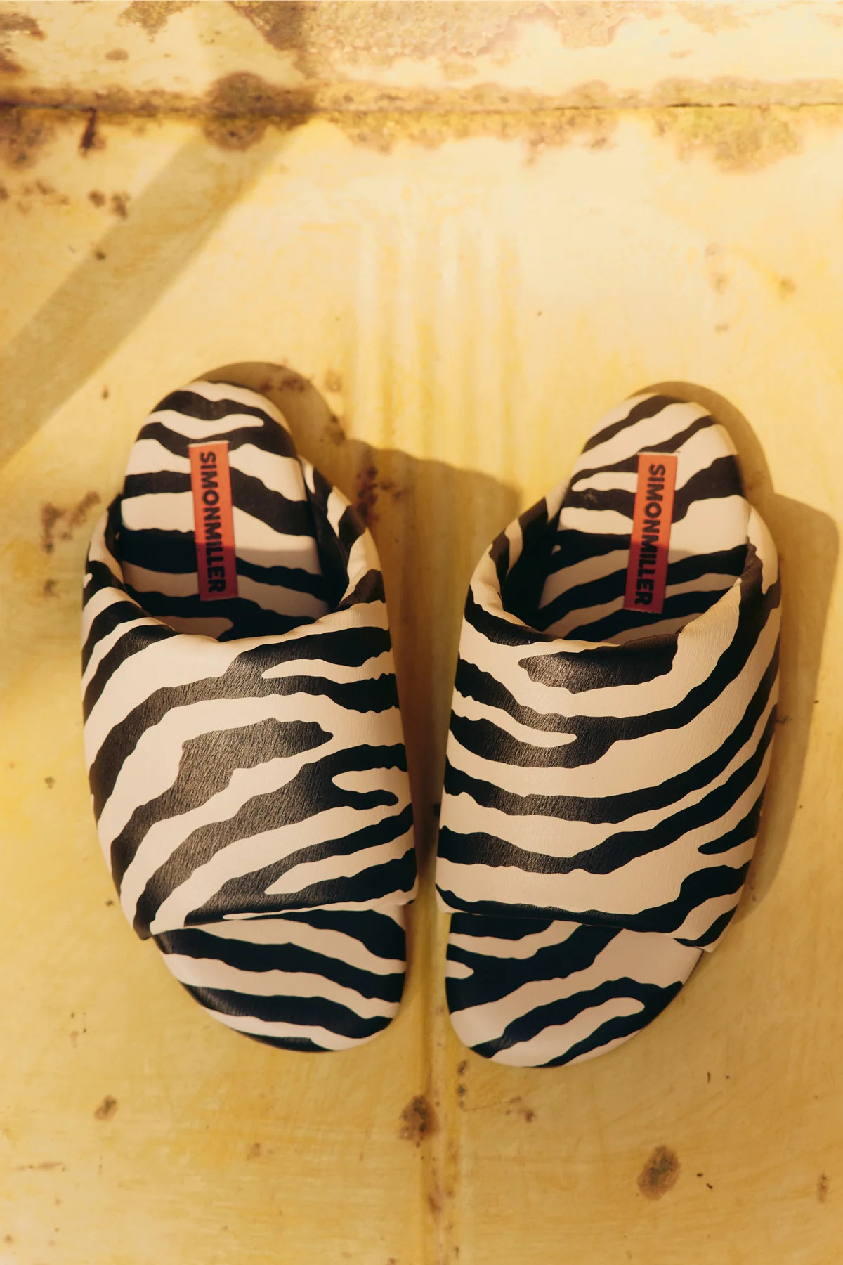 Zebra
           Trip | Simon Miller