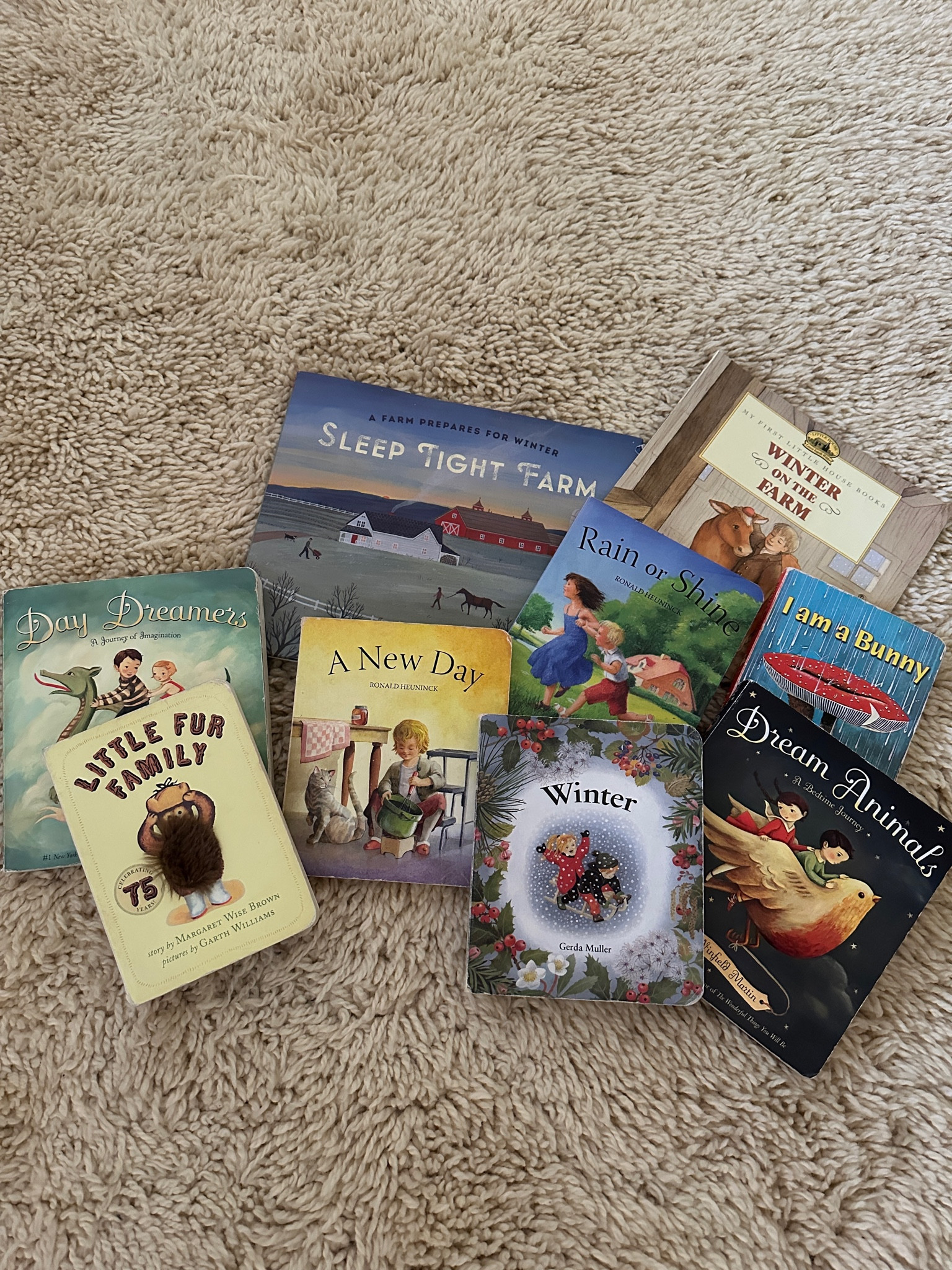 A few of our favorite books 📚 
Perfect for snuggling up with on a chilly winter day, especially when little one’s aren’t feeling well. 
#childrensbooks #waldorfbooks 

#LTKGiftGuide #LTKKids #LTKFamily
