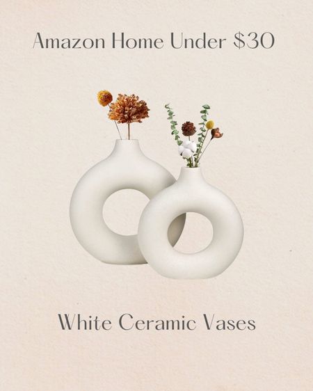 Amazon home decor under $30 - white ceramic vases



#LTKhome #LTKstyletip