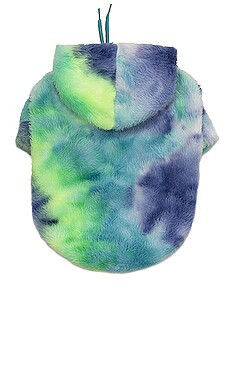 Little Beast It's Groovy Baby Pet Hoodie in Multi from Revolve.com | Revolve Clothing (Global)