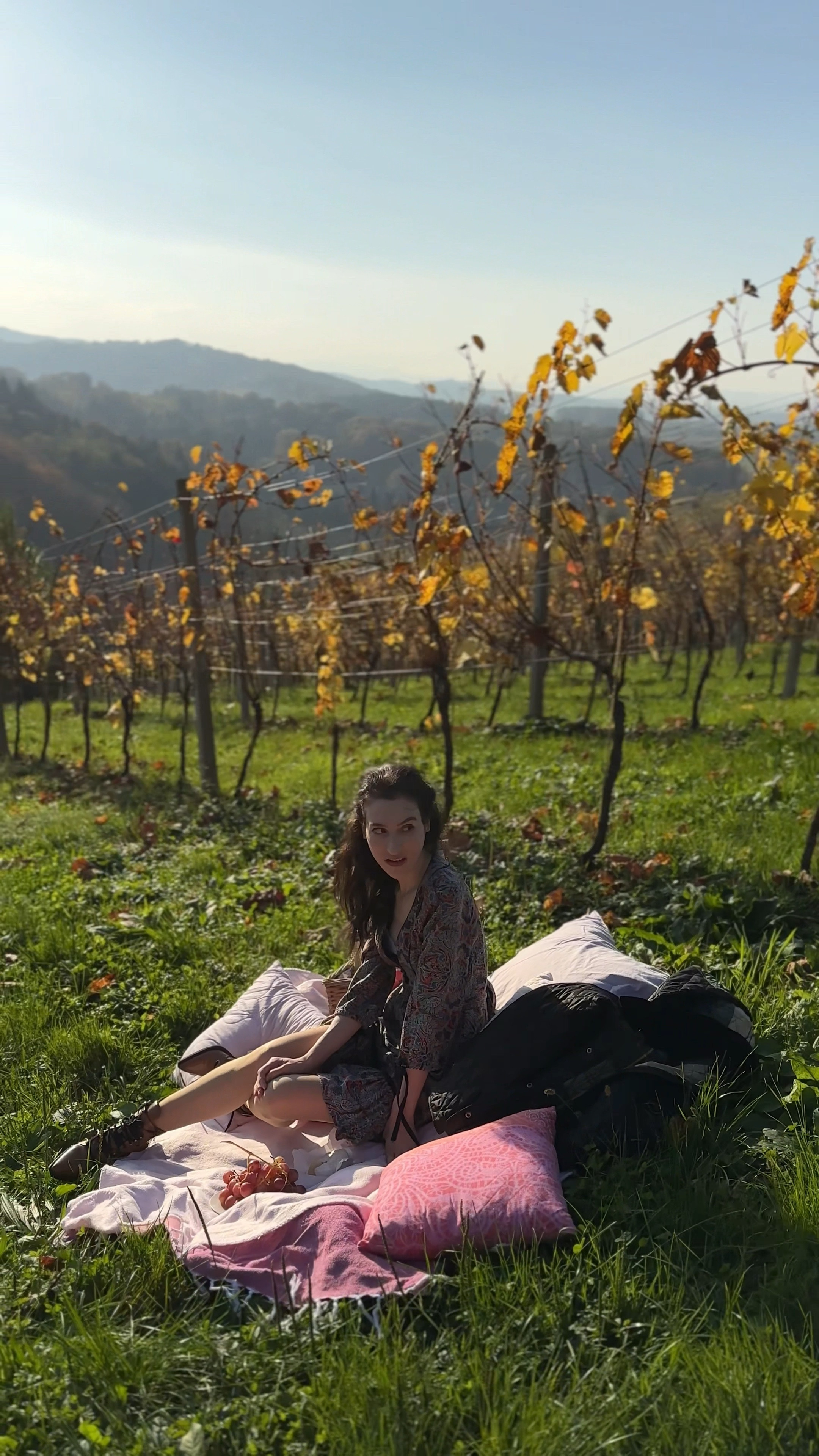 #fallpicnic #picnicoutfit #picnicbasket #picnicblanket #ankleboots #falldress #autumndress #dateoutfit

#LTKVideo #LTKStyleTip #LTKSeasonal