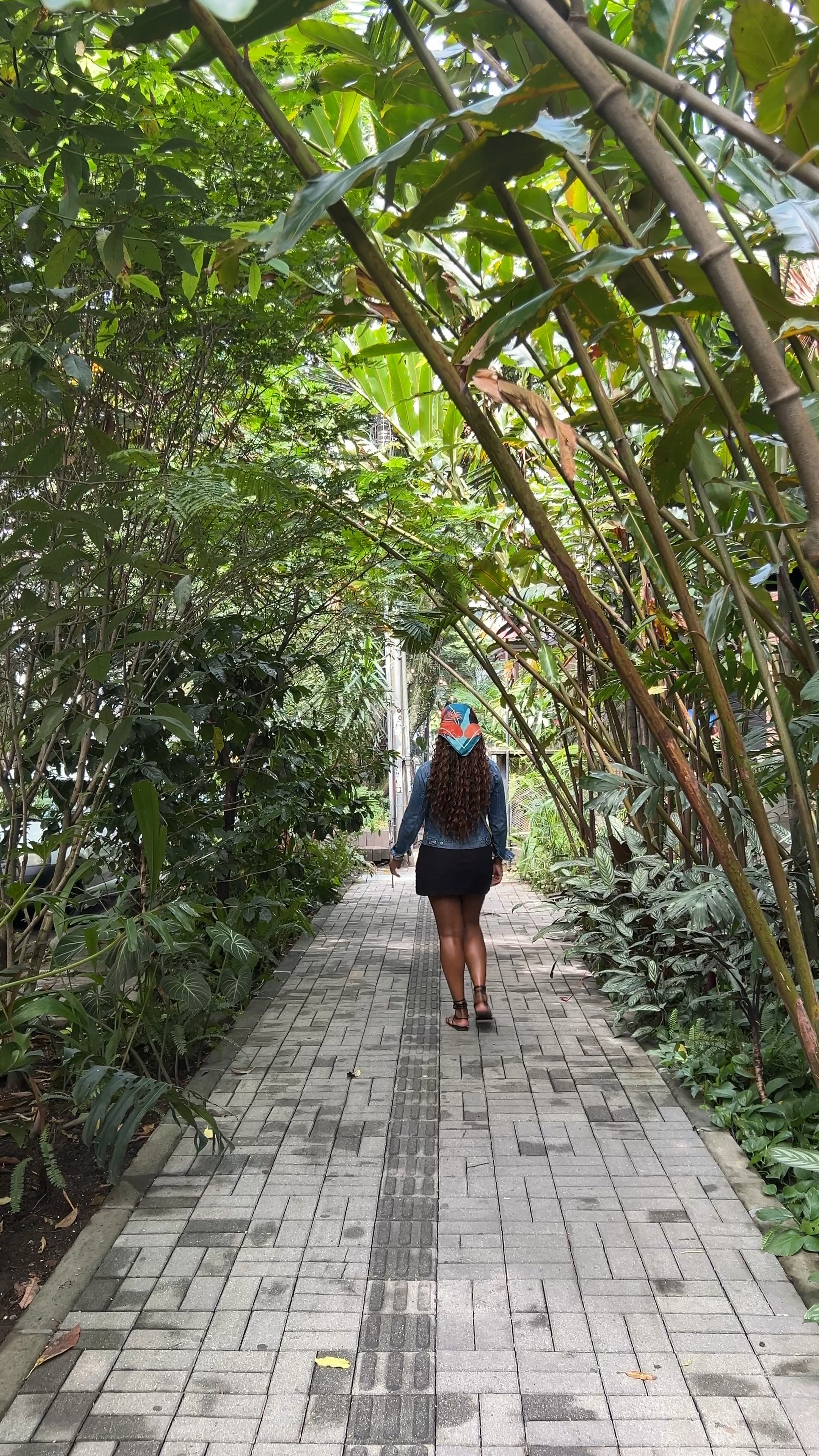 OOTD: Denim jacket, tank bodysuit, skort, lace up sandals, crossbody, hair scarf 

#LTKVideo