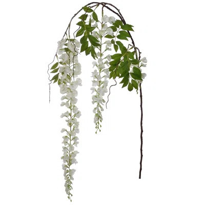 Wisteria Stem | Wayfair North America