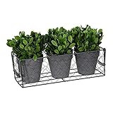 Ka Home Artificial Green Boxwood Wire Basket Arrangement | Faux Arrangement in Black Decorative Box  | Amazon (US)