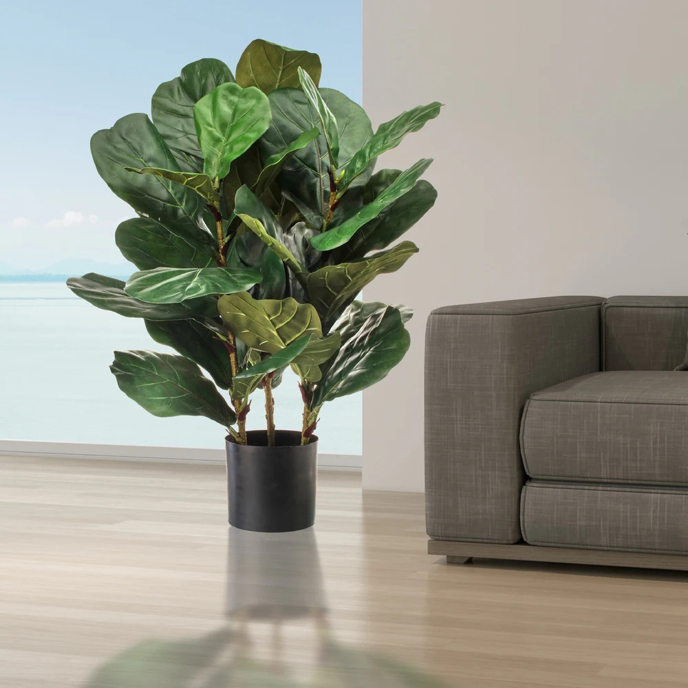 Potted Triple Mature Fiddle Leaf Plant 32 | Bed Bath & Beyond