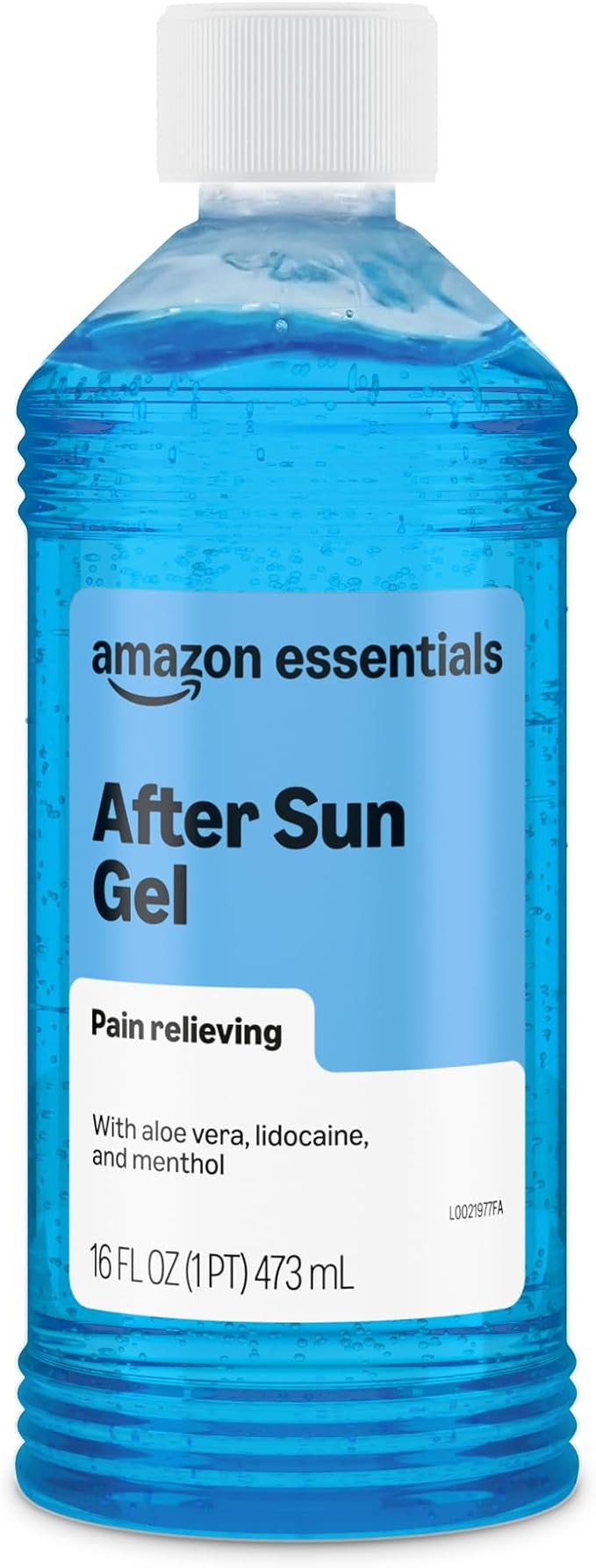 Amazon Essentials After Sun Gel with Aloe, Lidocaine and Menthol, 16 Fluid Ounce (1 Pack) (Previo... | Amazon (US)