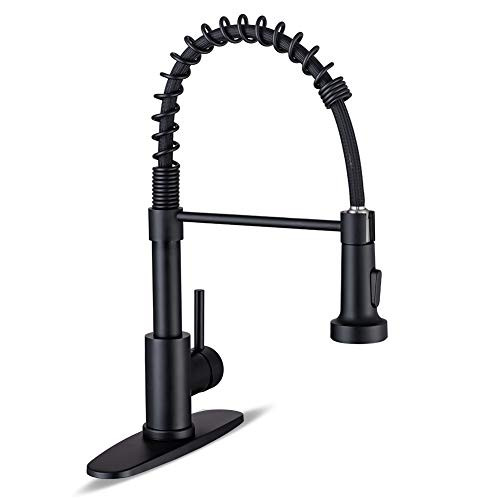 WEWE Kitchen Faucets with Pull Down Sprayer Commercial Industrial Stainless Steel Single Handle Single Hole Spring Farmhouse RV Sink Faucet, Matte Black | Amazon (US)