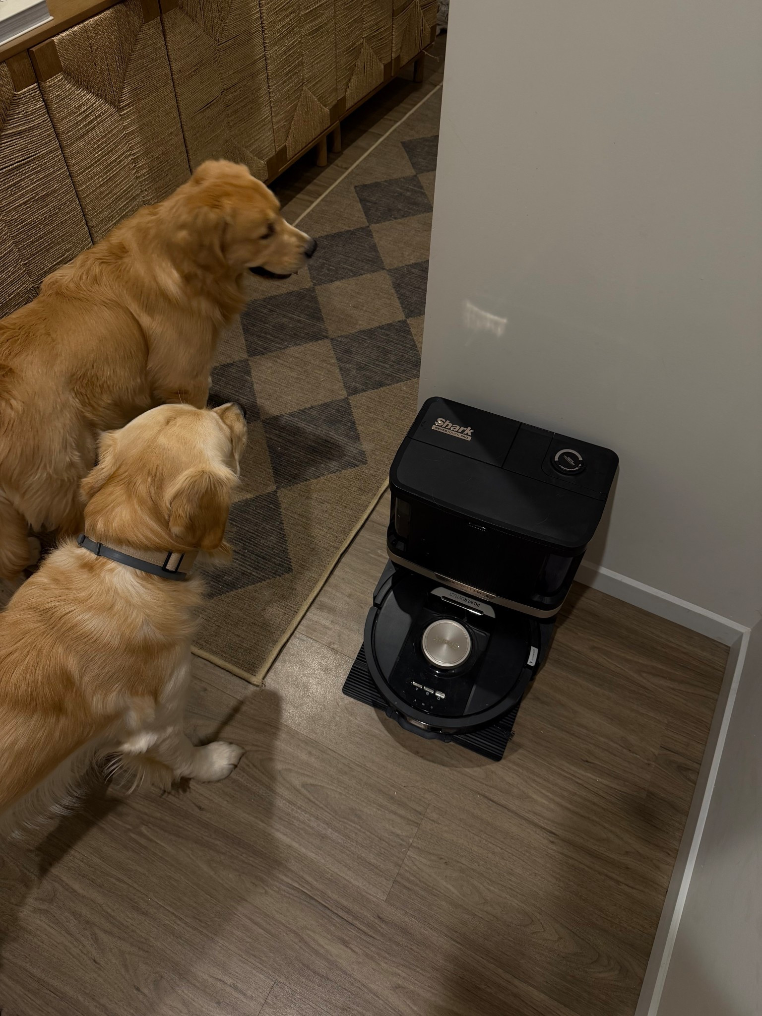 the best robot vacuum & mop in one!! helps so much with pet hair