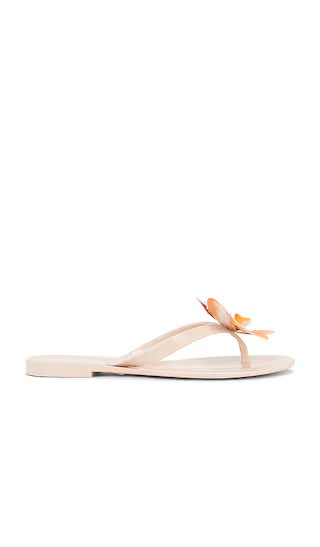 Steve Madden Poppyseed Sandal in Tan. - size 8 | Revolve Clothing (Global)