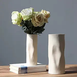 Abbittar Ceramic Vase Set of 2, 10.7" and 9" H Large Flower Vases for Rustic Home Decor, Modern F... | Amazon (US)