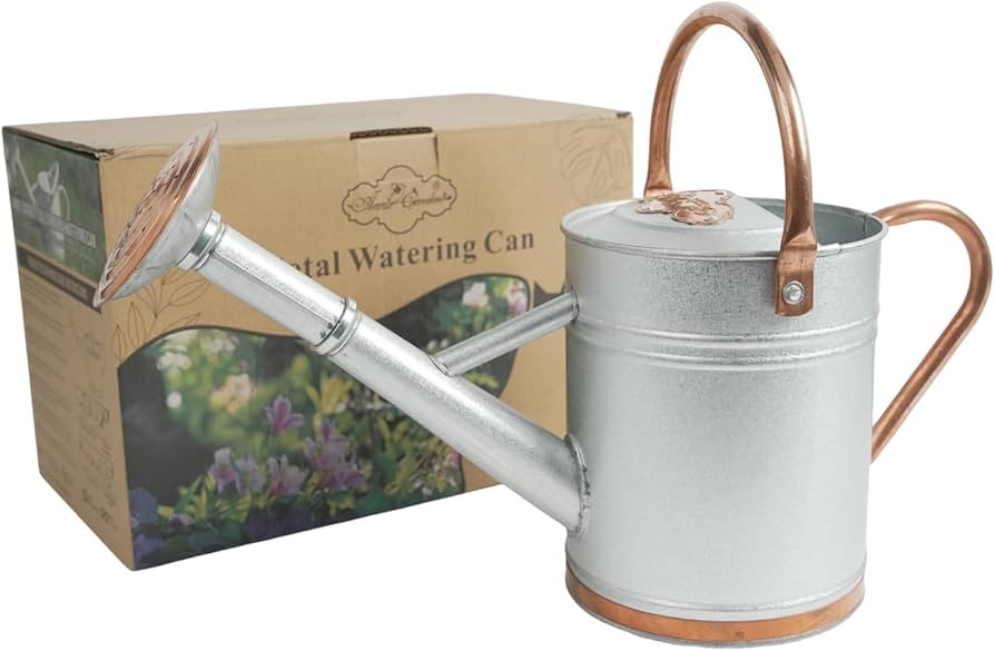 1 Gallon Galvalume Metal Watering Can with Solid Brass Sprout, Handle & Base Trim - Genuine Forge... | Amazon (US)