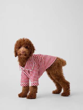 Pet Softest Flannel PJ One-Piece | Gap (US)