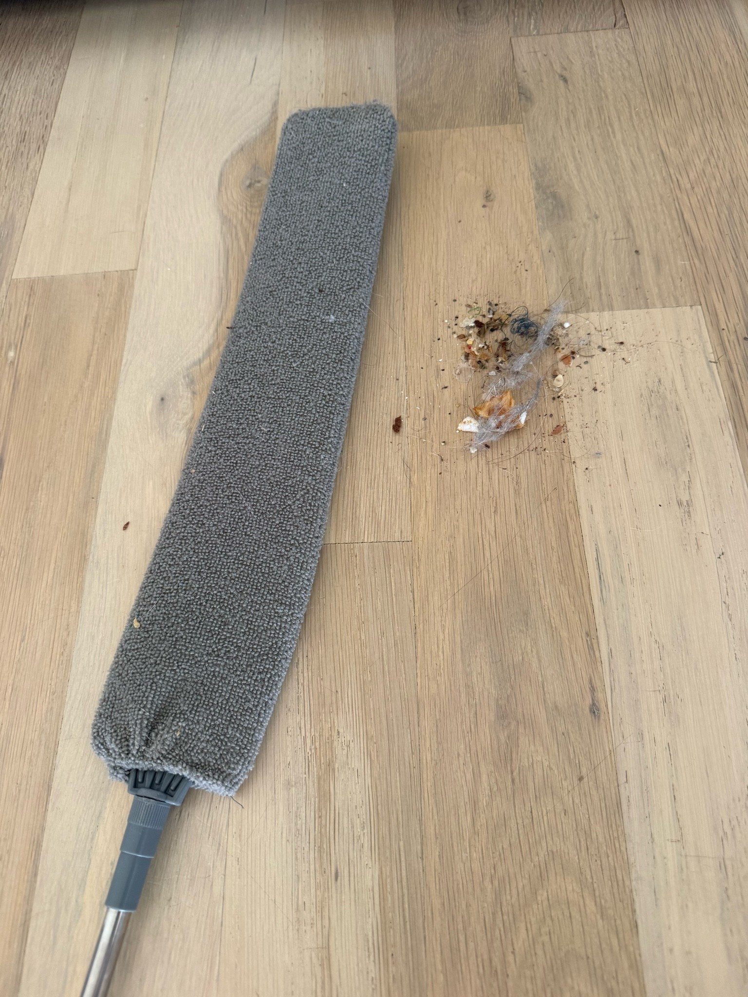 This tool is incredible and extends and collects all the crumbs and dust under your fridge or oven

#LTKHome