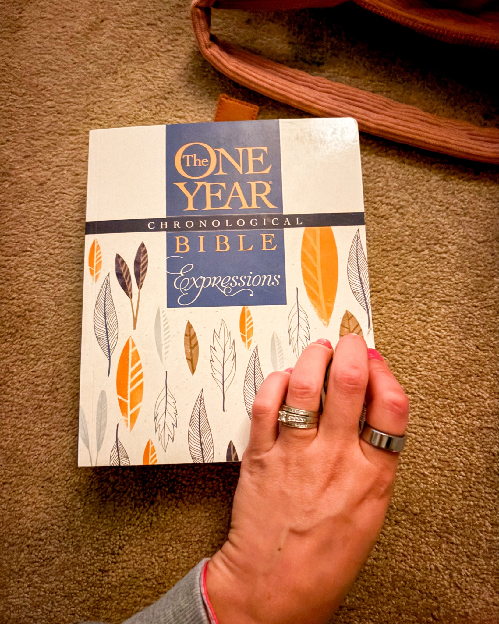 The Chronological Bible- if you are on a journey to understanding the Bible better and strengthening your walk with Jesus, grab this for your mornings 🤍

#LTKHome #LTKFamily #LTKFindsUnder50