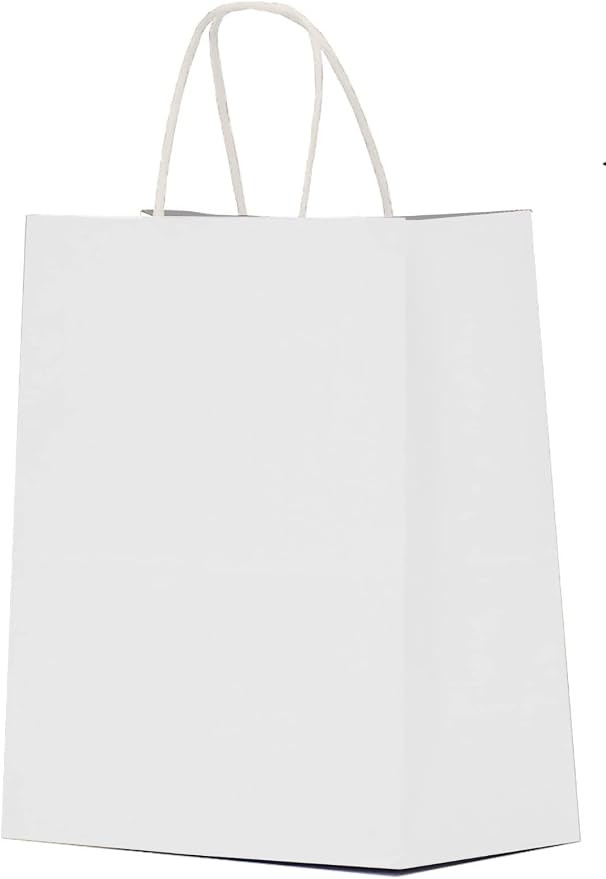White Paper Gift Bags with Handles Bulk 25 pcs 8x4.5x10 Medium White Paper Bags for Gifts, Valent... | Amazon (US)