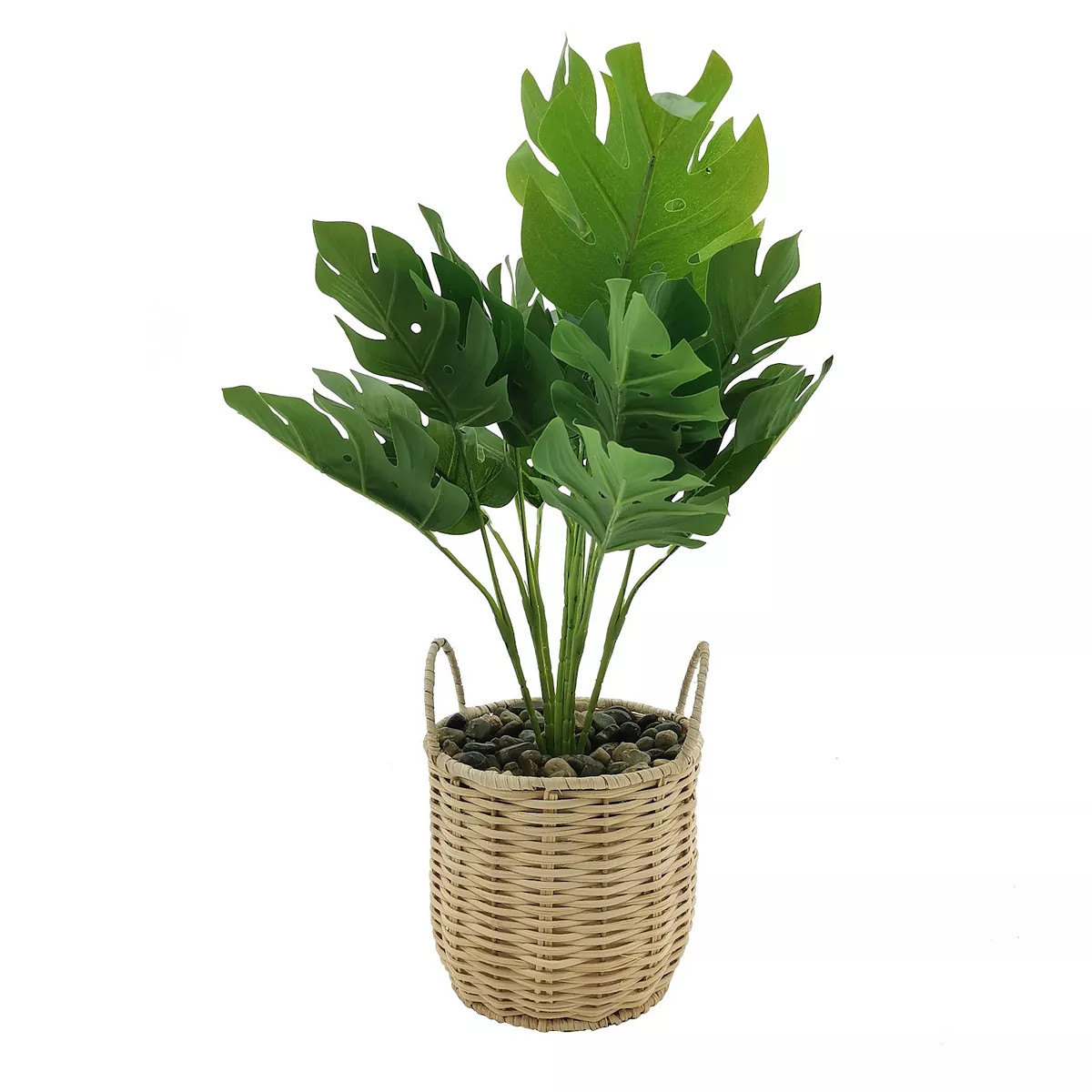 Sonoma Goods For Life® Artificial Monstera Deliciosa Plant Home Decor | Kohl's