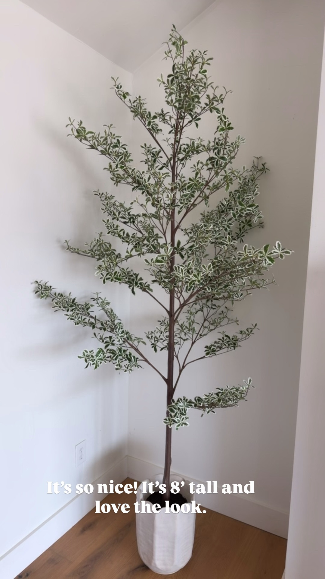 I bought this for my bedroom but decided to use it i. My living room because it’s so nice! It’s 8’ tall and so pretty! 

#LTKHome