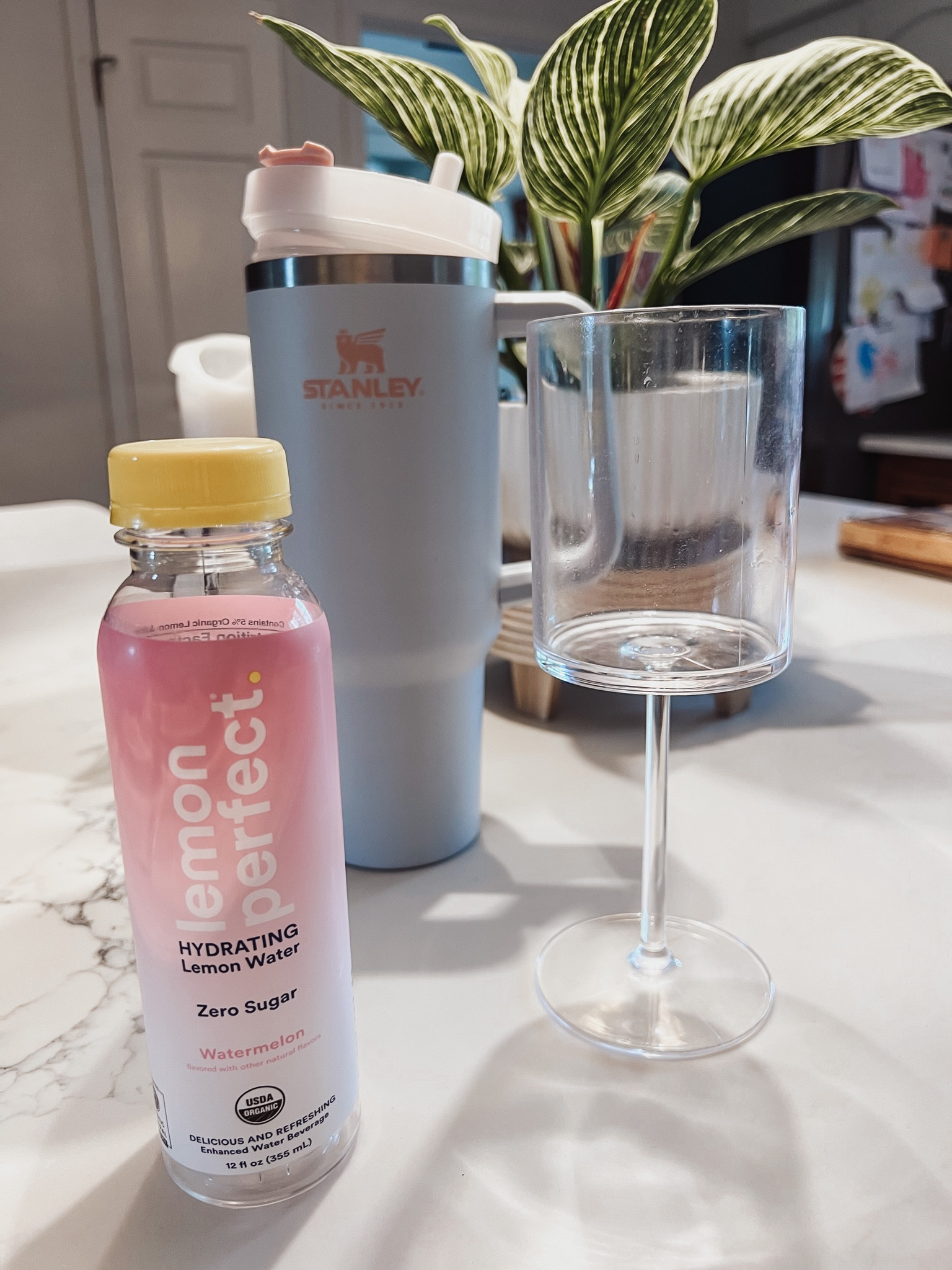 Healthy No sugar Lemon Perfect drink #healthydrinks #stanleymug #amazonfinds 

#LTKbeauty #LTKfamily #LTKfit