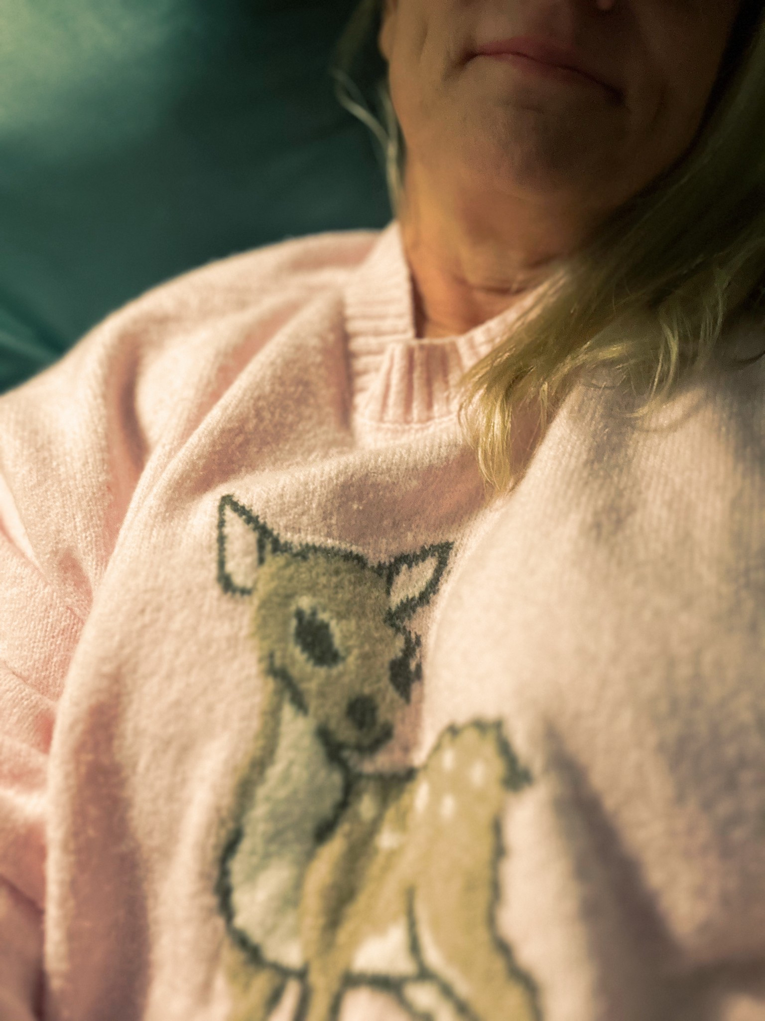 If I have to have a cold, at least I can spend the day in a cute, cuddly sweater! @shannonskiptomylife @walmartcreator #walmartstyle 

#LTKSeasonal #LTKdayinmylife #LTKselfcare