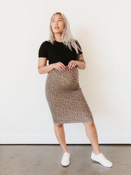 Pencil Skirt | Storq Inc