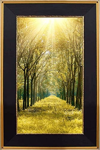 Space Art Deco, 8X12 Picture Frame Without Mat,Wall Mounting Classic Gold Design Black Frame (Classi | Amazon (US)
