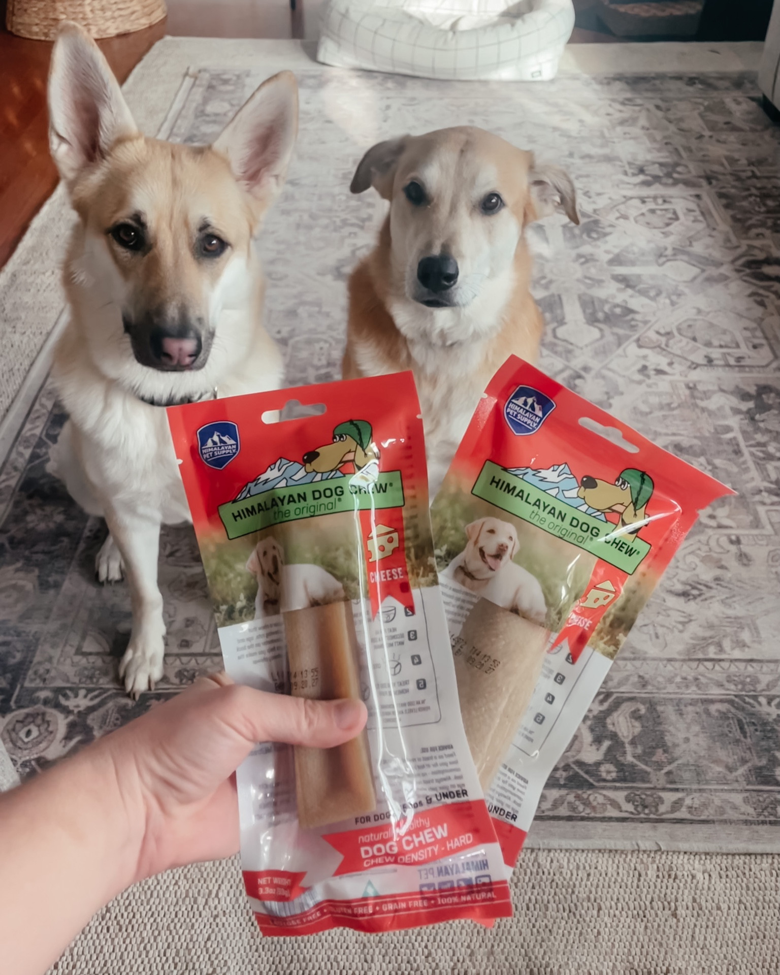 #amazonfind #ltkpet stocking stuffer idea for your fur babies!

#LTKGiftGuide #LTKFind #LTKsalealert