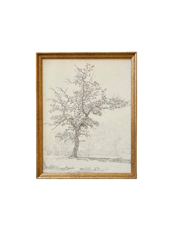 Vintage Framed Canvas Art  // Framed Vintage Print // Vintage Painting // Black White Tree Sketch... | Etsy (US)
