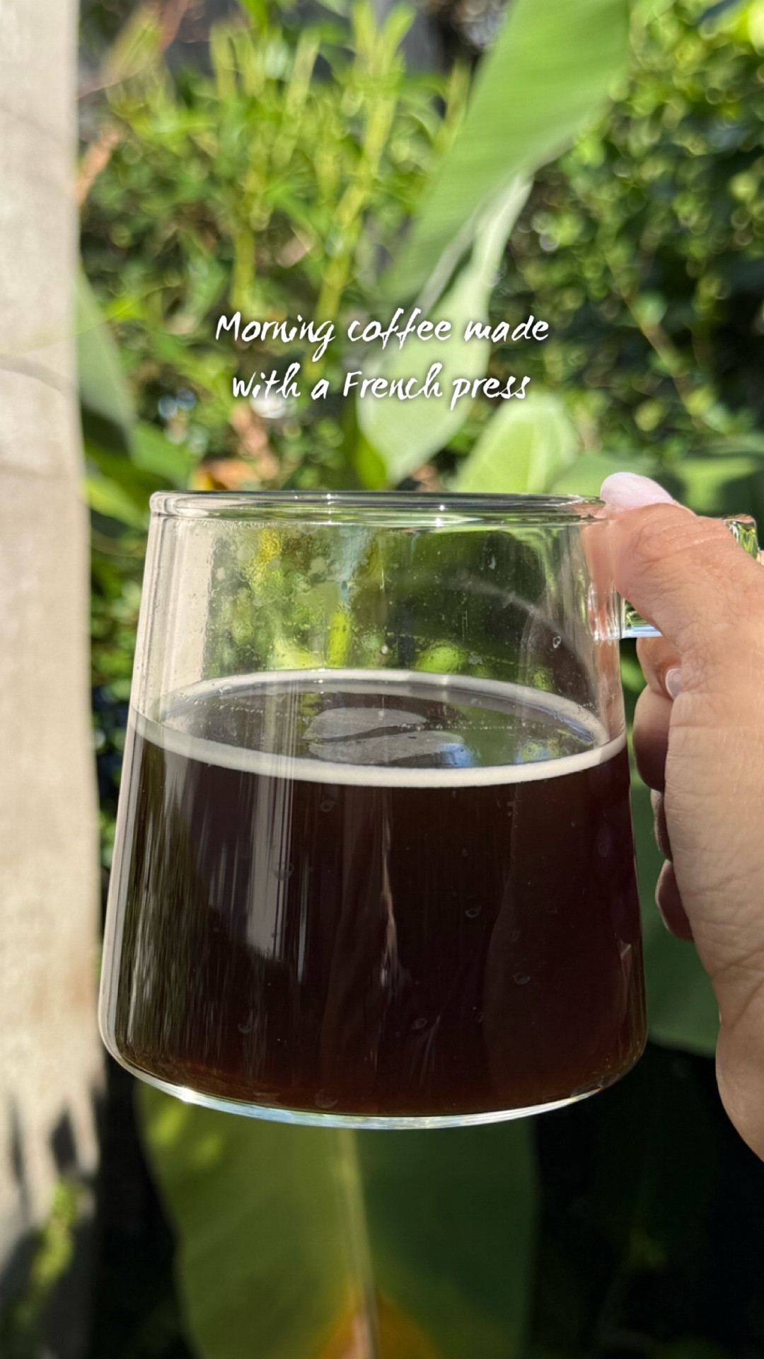 Morning coffee made with this great vacuum insulated French press ☕️🤎

#LTKmorningroutine #LTKFindsUnder50 #LTKmomlife