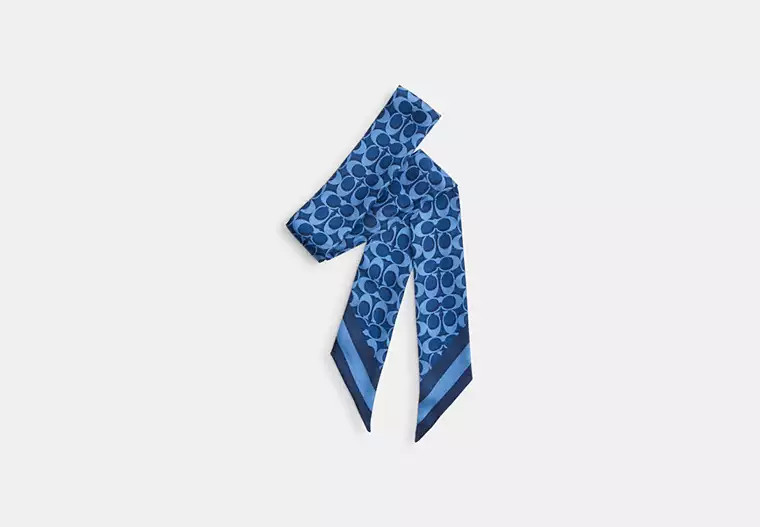 Signature Silk Skinny Scarf | Coach Outlet US