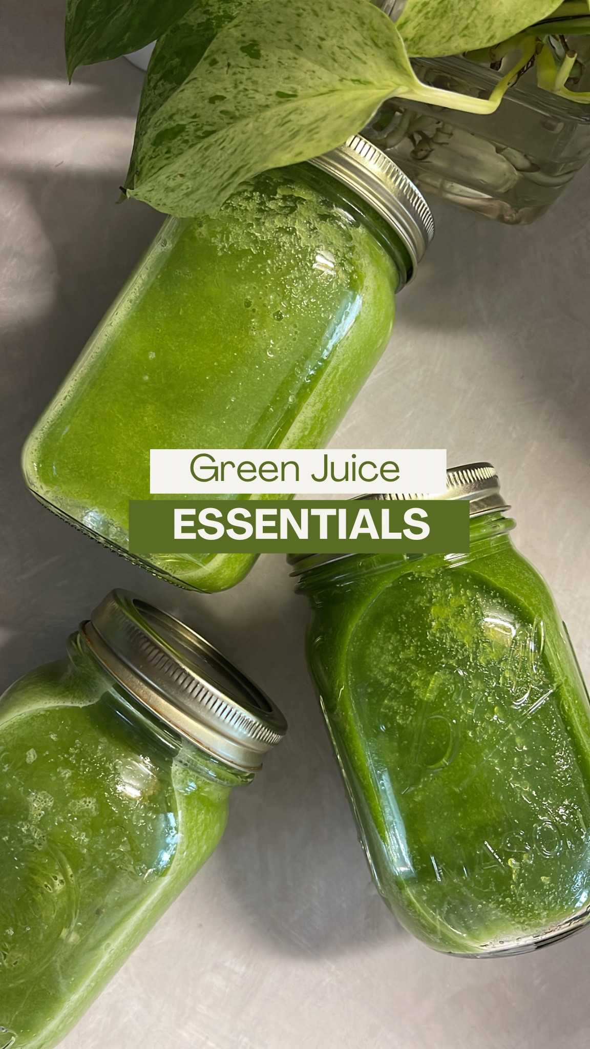 It’s time to juice! I started juicing last year before my trip to Ghana and it has had so many beneficial factors and one being glowy smooth skin. ✨ these are a few things I add to my green juice but you can add more such as: Kale or pineapples.


#greenjuice #juicing

#LTKSeasonal #LTKfitness