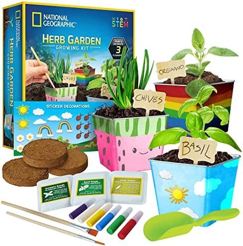 NATIONAL GEOGRAPHIC Herb Growing Kit for Kids - Decorate 3 Pots with Paint and Stickers, Kids Garden | Amazon (US)
