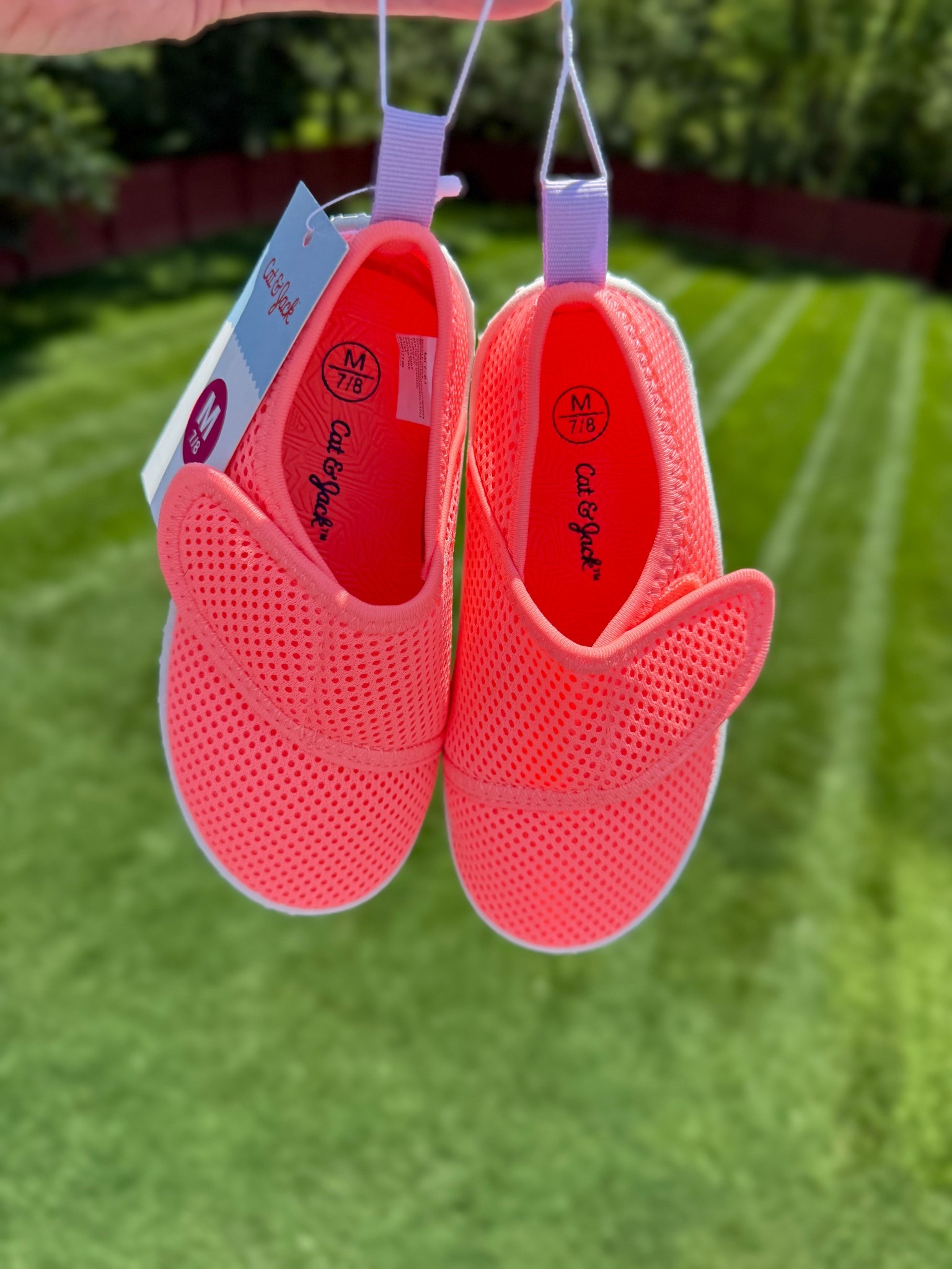$10 toddler water shoes


#LTKFamily #LTKKids #LTKSwim