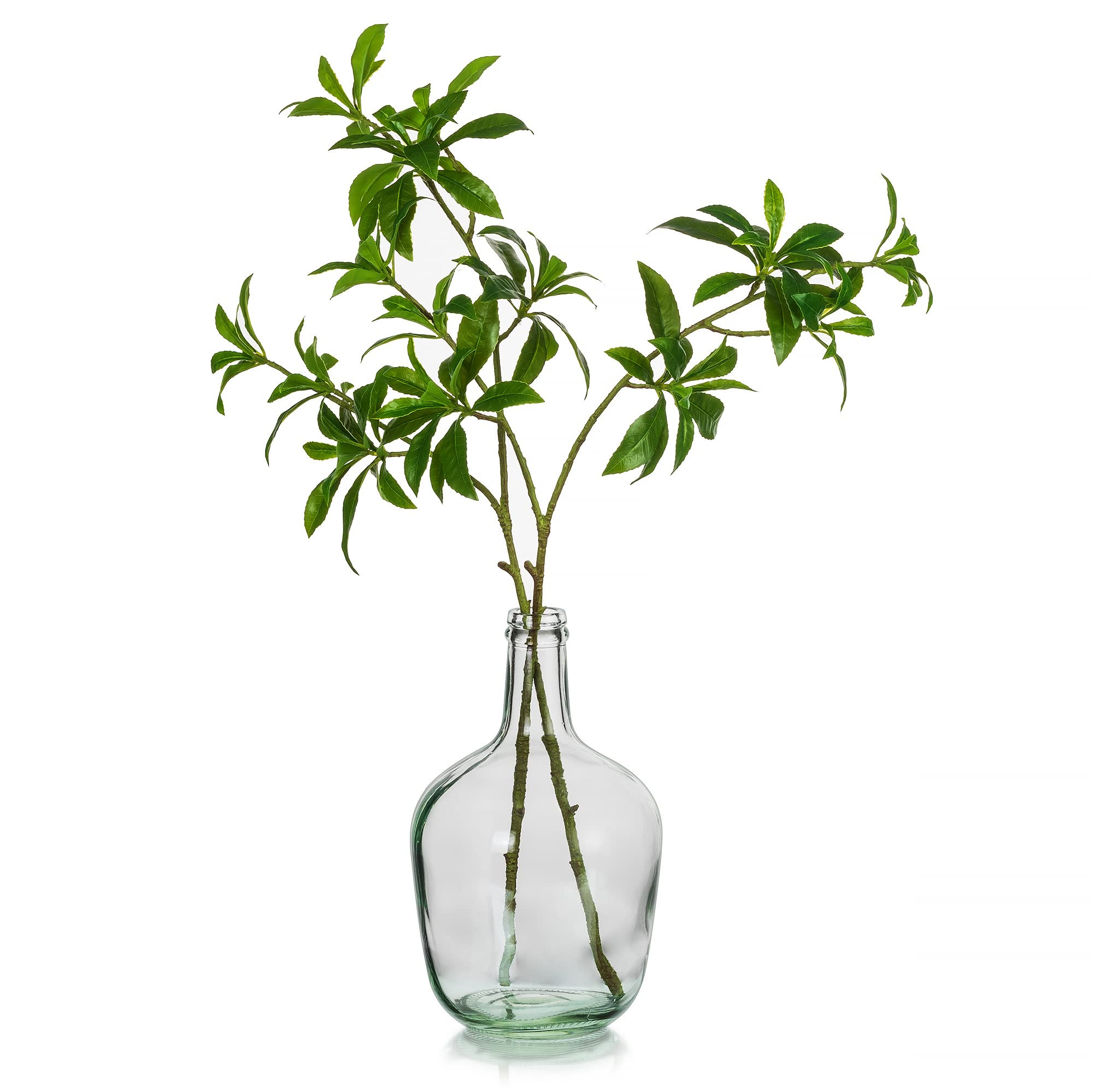 Hewory Large Glass Vase for Decor, 12in Clear Tall Farmhouse Decorative Floor Vase, Round Bubble ... | Amazon (US)
