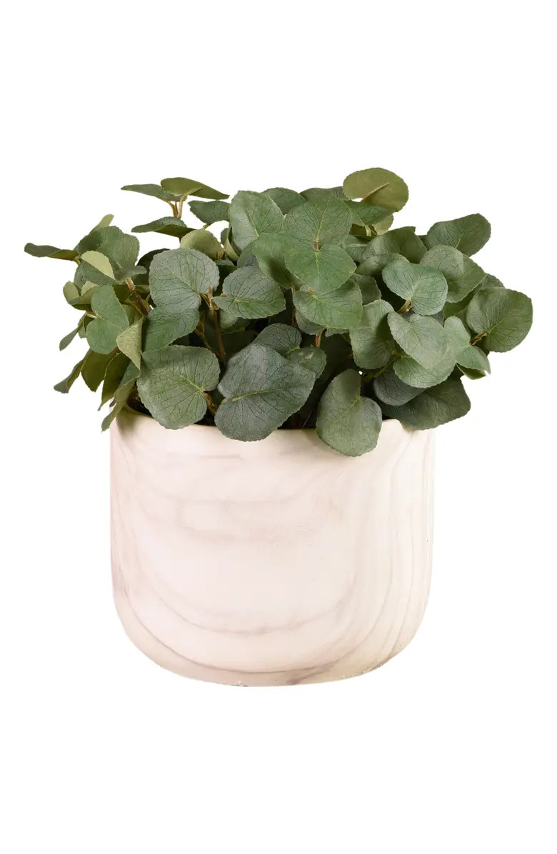 Bloomr Potted Eucalyptus Planter Decoration | Nordstrom | Nordstrom