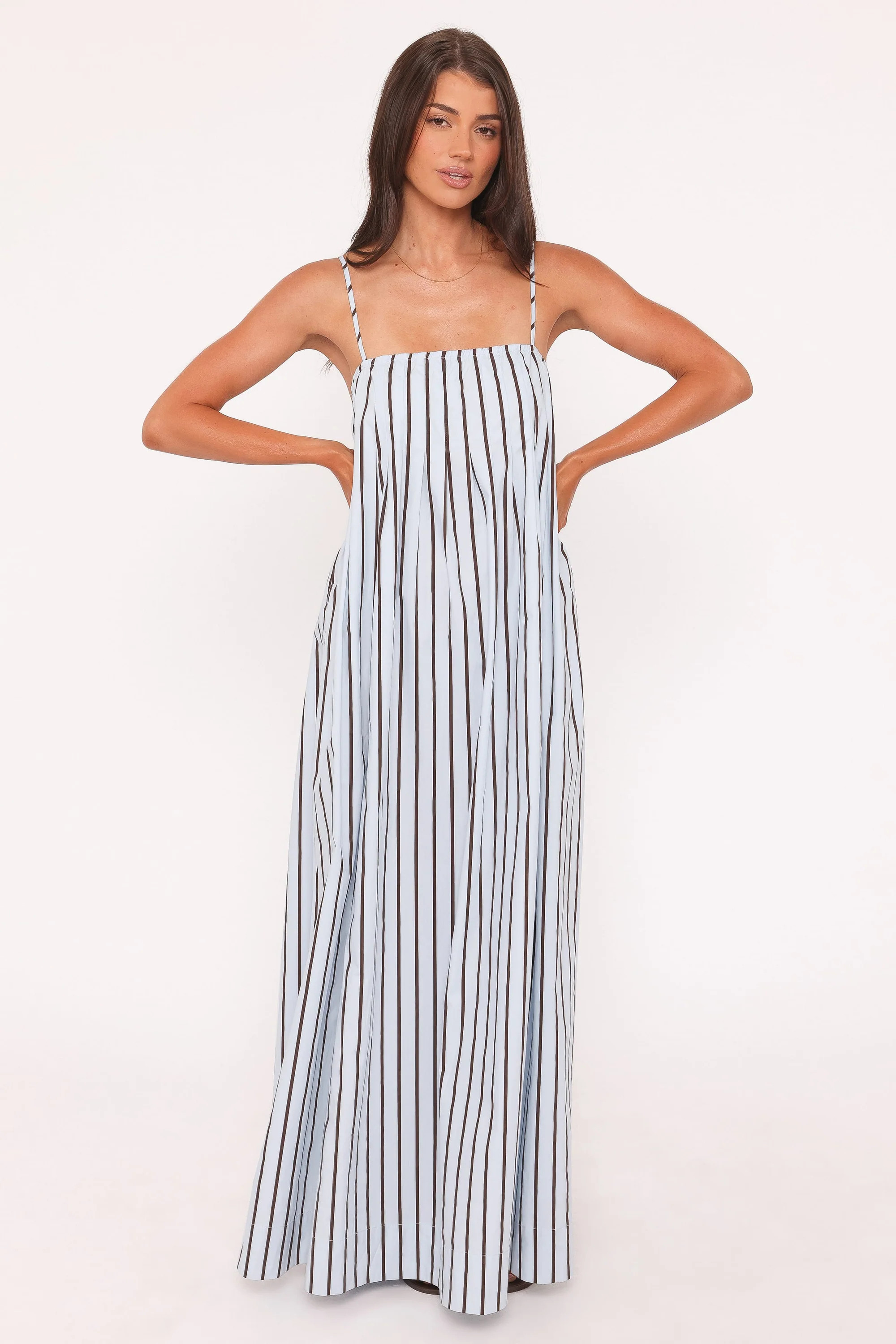 Arletta Maxi Dress - Blue/Brown Stripe | Petal & Pup (US)