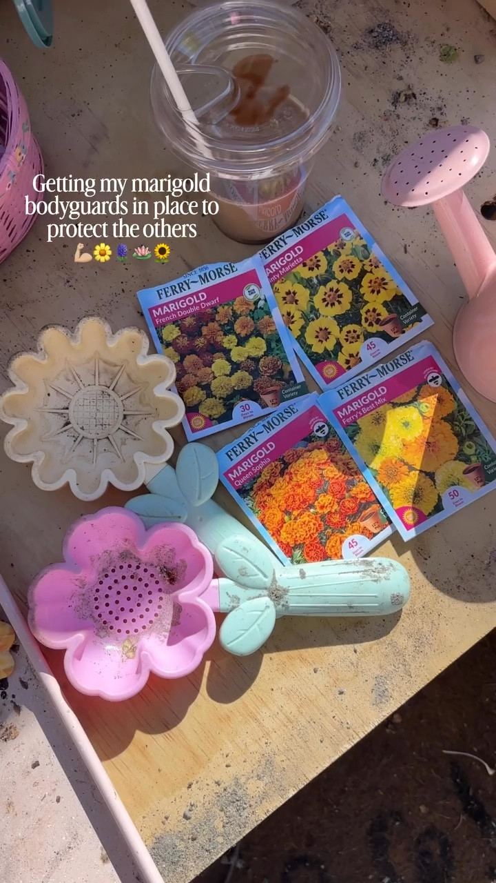 I hear marigolds are the protector companion flowers to plant so let’s hope for the best 🤞

#marigolds #chaosgardening #plantingforspring #gardening