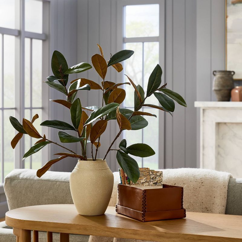 Large Magnolia Leaf Potted - Threshold™ designed with Studio McGee | Target