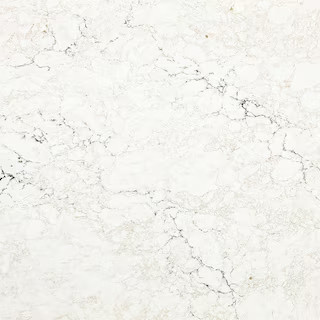 CAMBRIA 3 in. x 3 in. Quartz Countertop Sample in Whitendale 10380565 - The Home Depot | The Home Depot