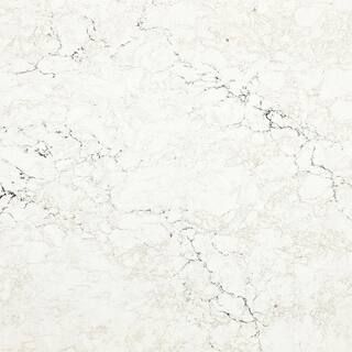 CAMBRIA 3 in. x 3 in. Quartz Countertop Sample in Whitendale 10380565 - The Home Depot | The Home Depot