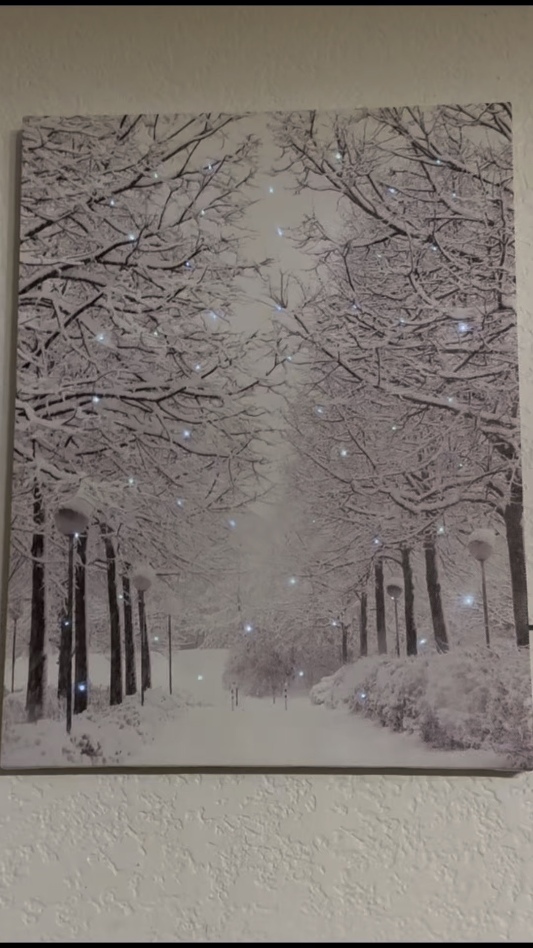 Sparkling winter scene for holiday decor. Canvas LED painting with several different designs  

#LTKHome #LTKHoliday #LTKWatchNow