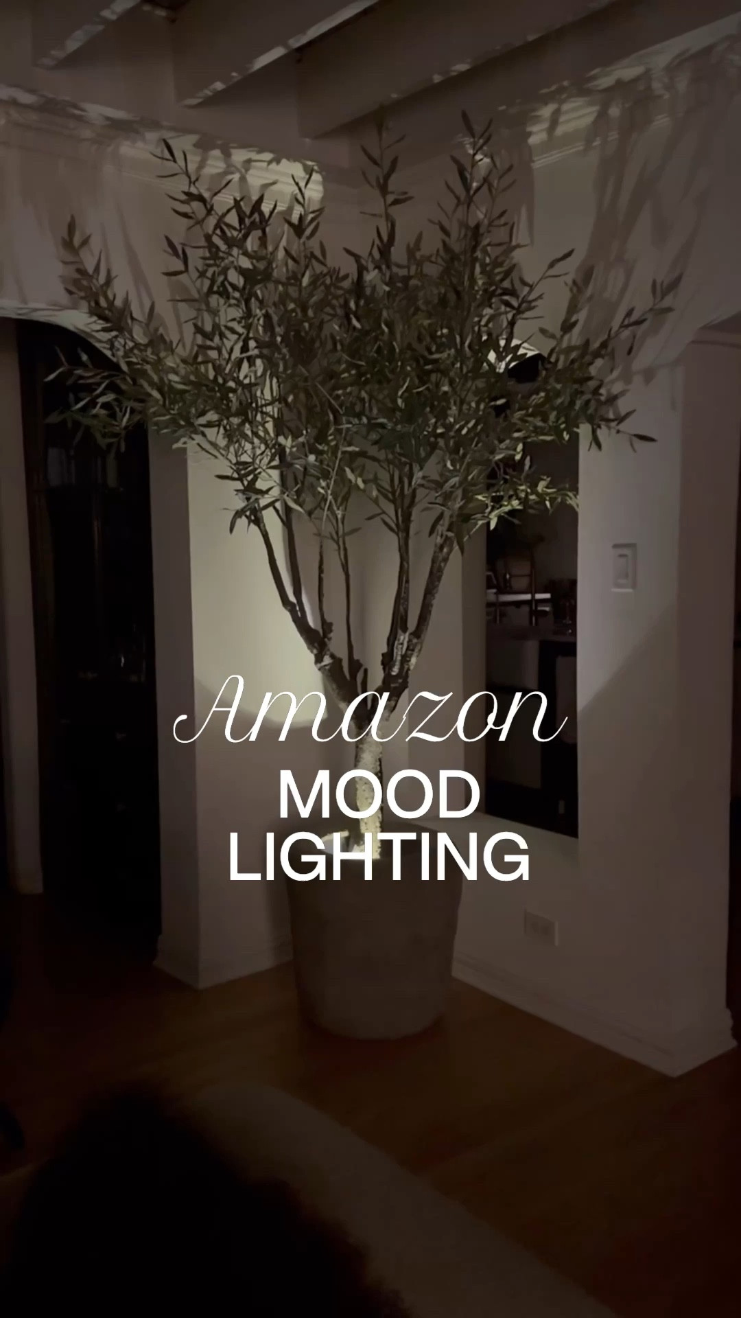Linking these Amazon spot lights! My faux olive tree and pot are from Restoration Hardware so I linked a few similar options! 

#LTKFindsUnder50 #LTKFindsUnder100 #LTKHome