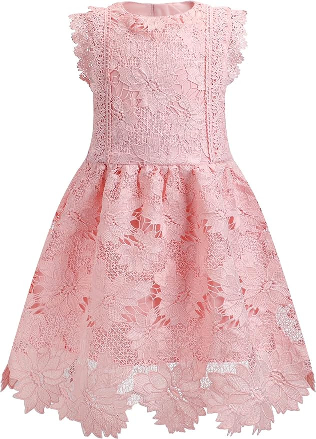 ALLOVIN Toddler Girl's Sleeveless A-Line Lace Party Dress Flower Girl Princess Dress with Beaded ... | Amazon (US)