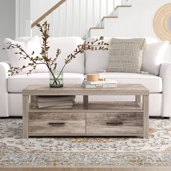 Gabriella Frame Coffee Table with Storage | Wayfair North America