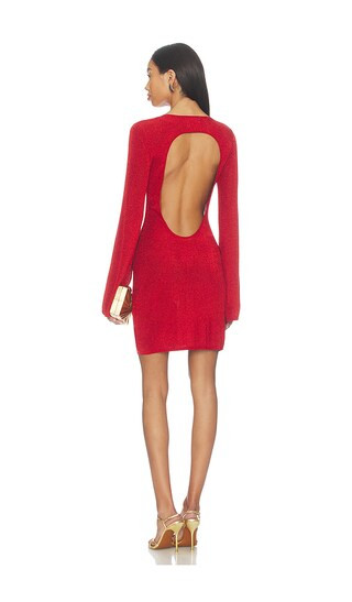 Zulma Dress in Rouge | Revolve Clothing (Global)