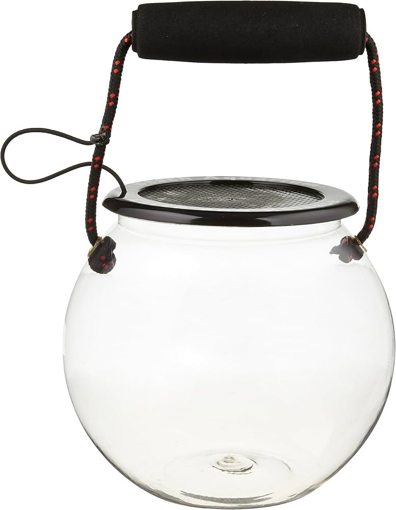 Dry Branch Sports Design Catch and Release Plastic Beach Aquarium Kit , Clear, Fish | Amazon (US)