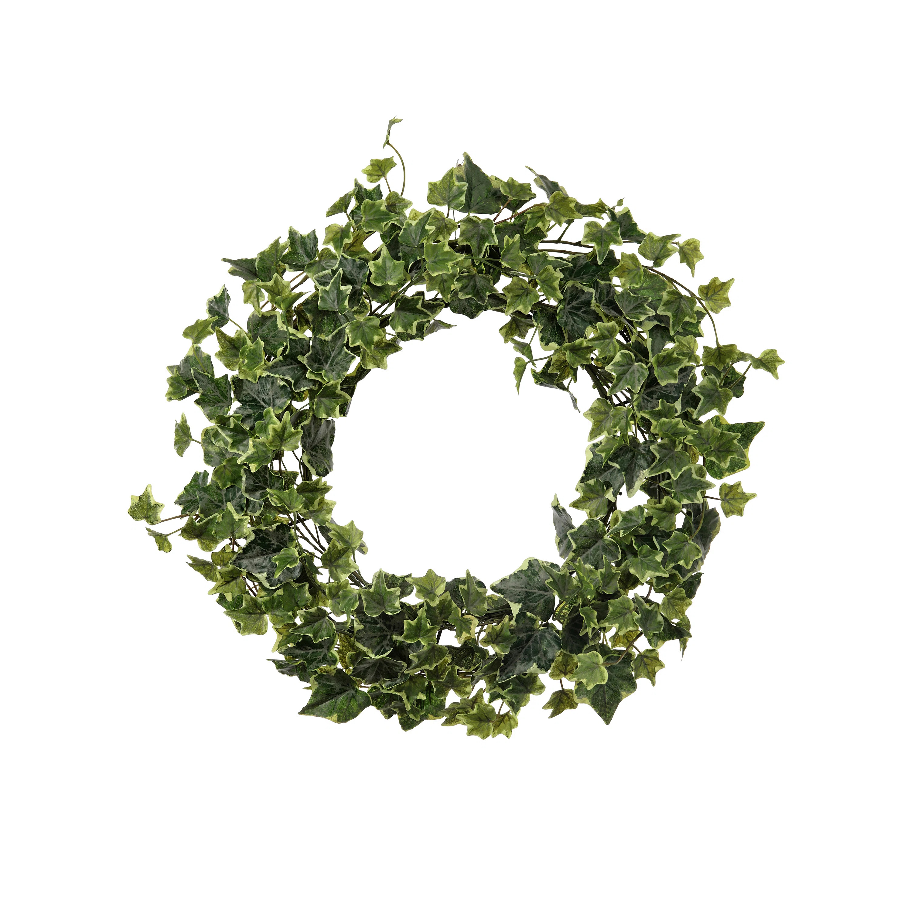 17" English Garden Ivy Wreath | Wayfair North America