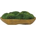 Uttermost Kinsale Green Moss 19" Wide Centerpiece in Natural Wood Bowl | Amazon (US)