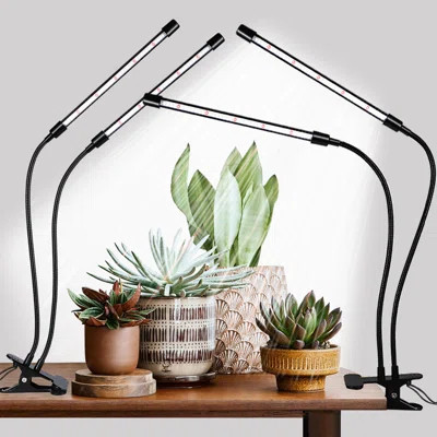 Black Grow Lights For Indoor Plants, 168 Leds Clip Plant Lights, Full Spectrum LED Plant Growing Lamps With Flexible Gooseneck 4/8/12/18H Timer, 3 Spe | Wayfair North America