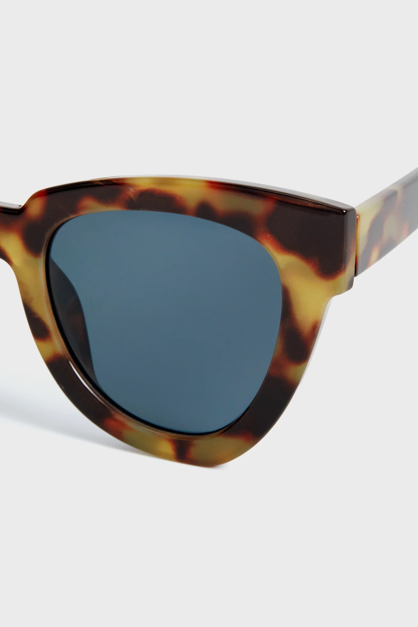 Exclusive Tortoise Not Standard Sunglasses | Tuckernuck (US)